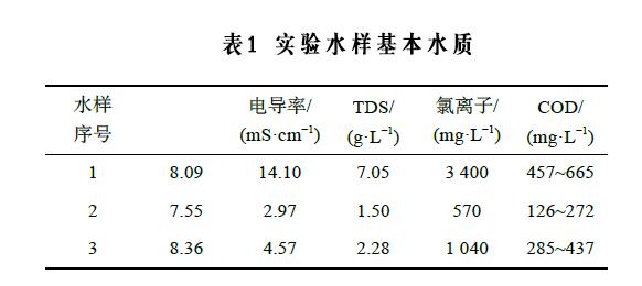 煤化工高盐废水麻豆精品A片免费观看催化氧化实验装置与方法(1)