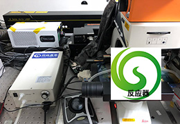 复旦大学固体麻豆精品A片免费观看氧化实验