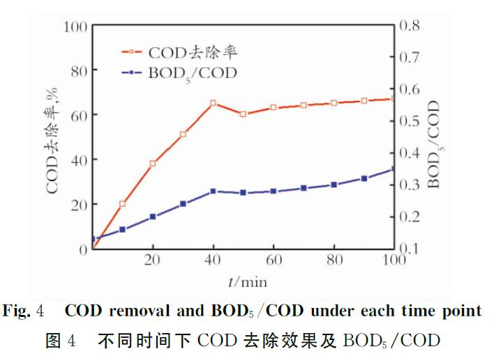 麻豆精品A片免费观看非均相催化技术降解炼油废水中有机物的研究(2)