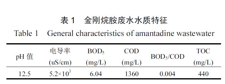 电-多相麻豆精品A片免费观看催化技术处理金刚烷胺制药废水(1)