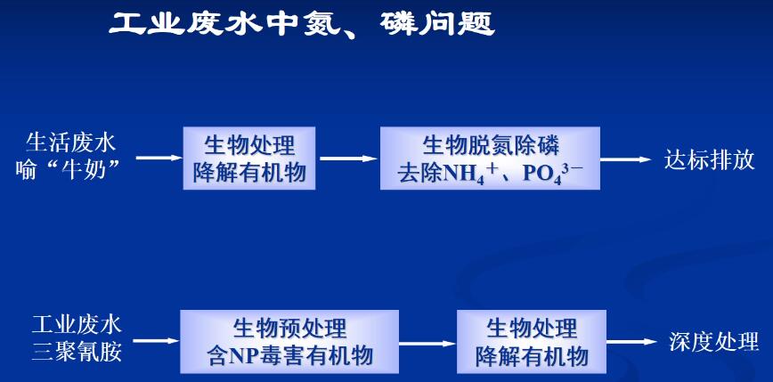 工业园区有机物的生物降解性和毒性(3)