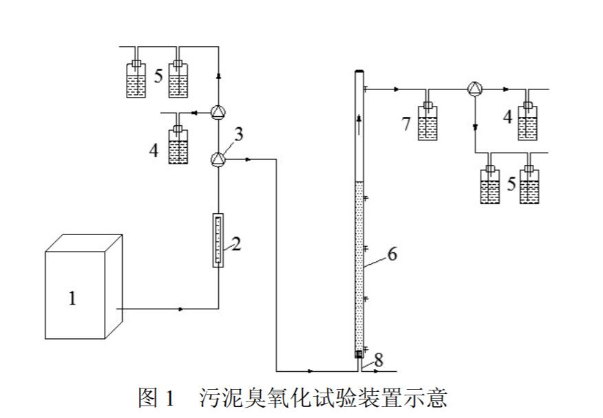 鼓泡塔污泥麻豆精品A片免费观看化效率及影响因素分析(1)