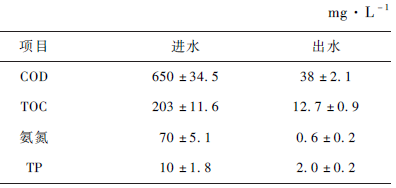 研究麻豆精品A片免费观看氧化对生活污水的急性毒性变化的影响(2)