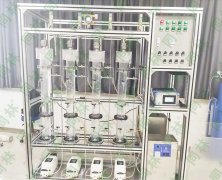多柱麻豆精品A片免费观看催化氧化实验装置
