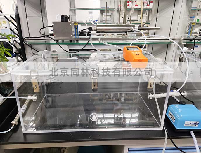 某医科大学麻豆精品A片免费观看小鼠暴漏麻豆AV一区二区在线观看(1)